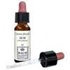 ERBA VITA ESSENZA FLOREALE Elm Original Gocce 10 Ml Omeopatia