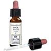 ERBA VITA ESSENZA FLOREALE Rock Water Original 10 Ml Gocce
