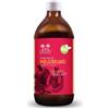 Salugea Succo Di Melograno Biologico 100% Puro 500ml