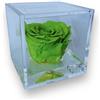 Premium-rose.com PremiumRose Cubo Rosa Stabilizzata Verde e Profumata da 5 cm con Rosa Eterna Vera | Idea Regalo Mamma, Fidanzata, Amica, Idea Regalo per Compleanno, Laurea | Fatto a Mano in Italia (Verde - A 1059)