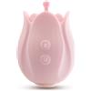 Blush Play with Me Romantic Rose Pink