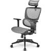 Sharkoon Sedia Sharkoon OfficePal C30 - Design ergonomico, supporto lombare integrato e poggiatesta, Meccanismo di contr...