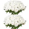VEVOR Fiori Artificiali, 60 Pezzi di Rose Finte in Schiuma dall'Aspetto Realistico alla Rinfusa, Finte Bianche con Steli per Fiori da Sposa Fai da Te, Centrotavola per Casa Decorazioni