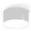 Gea luce GPL240C- PLAFONIERA BIANCA A LED IN ALLUMINIO 3000K 960LM 12W D.12CM