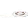 Gea luce GST166C- STRISCIA LED 5MT 3000K 6105LM 10W/m IP20