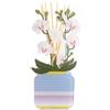 Vesta LIVINIA PROFUMATORE PER AMBIENTI IN PLEXIGLASS DECORATO ORCHIDEA COLORE BIANCO CON 100 ML INCLUSA FRAGRANZA DESTINO CHIARA FIRENZE