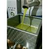 Olio Extravergine D'oliva 10 Litri siciliano nuova molitura 2024/25