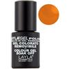 Layla Gel Polish N°47