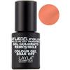 Layla Gel Polish N°84