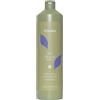 Echosline No-Yellow Shampoo 1000ml