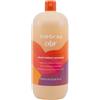 Inebrya Color Perfect Shampoo 1000ml