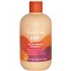 Inebrya Color Perfect Shampoo 300ml