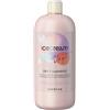 Inebrya Ice Cream Dry-T Shampoo 1000ml