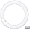 LIFE LAMPADINA CIRCOLINA LED G10Q 14W DIAMETRO 215MM BIANCO NATURALE -LIF39.940301N40