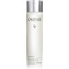 CAUDALIE ITALIA SRL VINOPERFECT ESSENZA GLICOLICA ILLUMINANTE 2023 100 ML