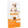 IAMS ProActive Health Adult Large Breed Chicken 12 kg