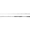 Abu Garcia Beast X Casting Rod, Freshwater Angler Fishing for Pike Perch & Zander, Strong Leightweight & Versatile, Green, Ambidextrous Carbon Fish Rod