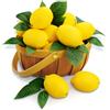 Lorigun 24 Pezzi di Limoni Finti con 24 Foglie, Limoni Finti Decorativi, Frutta Artificiale Realistica in Plastica per Decorazioni da Cucina, Centrotavola per Feste Estive (24 Limoni Gialli)