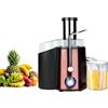 IDOR STORE Centrifuga Frutta e Verdura Professionale - Centrifugatore Estrattore, Grande Potenza 1000W con 2 velocità - Centrifughe Estratti e Succhi Rigeneranti Base Anti-Scivolo Funzione Antigocciolamento
