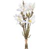 BigBuy Home Bouquet Bianco Verde 37 x 20 x 41 cm Magnolia