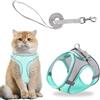 CATOR 1 Pcs Pettorina Cane Taglia Piccola Riflettente, Pettorina per Gatti con Guinzaglio, Traspirante Imbracatura Cane Regolabile Imbottito per Cani Gatti Cuccioli Taglia Piccola (XS, verde menta)