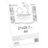 Puntofotoidee Cornice in Plexiglass da Tavolo - Porta Menu Trasparente - Portafoto da Tavolo - Espositore Pubblicitario - Espositore per Brochure, Depliant, Volantini (Trasparente, 21X29,7 cm (A4) Verticale)