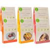 The Konjac Shop - Confezione da 6 unità da 270 g di pasta Shirataki - Senza Glutine - Basso in Calorie e Carboidrati - Pasta Vegana, Keto e LowCarb