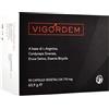 ABROS VIGORDEM 90 CAPSULE - ABROS - 978851006