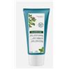 KLORANE - PIERRE FABRE ITALIA SPA Klorane Balsamo Detox Menta Acquatica Bio Detox Anti-Inquinamento 150ml