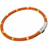 FERPLAST Sovracollare Luminoso Night Over CM.70