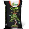 Alfe Natura Terriccio per Bonsai Giappo Alfe Natura 2,5 L