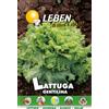 Leben Seme di LATTUGA GRAN RAPIDS TIPO GENTILINA - Leben
