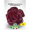 L'ortolano Seme di CICORIA Rossa di Verona sel. Grumolo Rosso - L'Ortolano