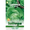 Leben Seme di LATTUGA S.ANNA - Leben