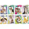 Blasetti Quadernoni Blasetti HELLO PETS 100G 24FF+1 rigatura 0Q
