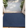 DEXI Zerbino per interni e ingresso anteriore, antiscivolo, a basso profilo, lavabile, per ingresso, 49,5 x 80 cm, blu