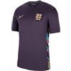 Nike Men's Top Ent M Nk DF Stad JSY SS AW, Dark Raisin/Sesame, FJ4272-573, S
