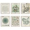 Habseligkeit - Set di 6 poster artistici da parete, minimalista, retrò, vintage, arte bohemien per l'arredamento della stanza, senza cornice, 20 x 25 cm, Matisse, verde salvia