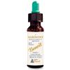 ALCHIMIA BENOIT Srl Alchimia Benoit Agrimony Fiori Di Bach Integratore Alimentare 10ml