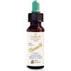 ALCHIMIA BENOIT Srl Benoit Fiori Di Bach Larch 10ml