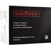 Abros Vigordem 90 Capsule