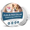 Paistely Collare Antiparassitario Per Cani, Collare Antipulci Cane Sicuro Ed Efficace Composto Da Oli Essenziali Naturali Al 100%, Efficacia 12 Mesi Collare Antizecche Per Cani Di Tutte Le Taglie (25.5inch)