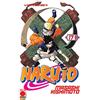 SUKEBON Naruto (Vol. 17)