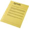 Esselte Buste perforate di qualità, confezione da 10, può contenere fino a 20 fogli A4, trasparente, opaco, giallo, materiale PP 55 micron, 47201