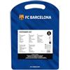 safta F.C. Barcellona 1ª attrezzatura 25/26 - Set da scrittura, astuccio regalo, astuccio metallico, penne, astuccio per bambini, ideale per bambini, comodo e versatile, qualità e resistenza, 27 x 37,5 cm