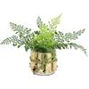 Flair Flower Cespuglio di felce artificiale in vaso, decorazione per la finestra del bagno, 23 x 26 x 26 cm, piante in vaso, fiori come vera pianta verde, pianta artificiale esotica