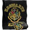 LOGOVISION Harry Potter, coperta setosa al tatto, super morbida, 152 x 127 cm