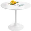 TAITUTE Tavolo da pranzo rotondo da 80 cm, per casa, ufficio, bar, bistrot, tavolino da caffè, bianco