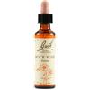 Bach Flower Remedies Rock Rose N.26 Gocce 20 Ml