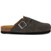 Scholl Olivier New